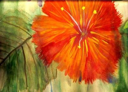 Hoe Om Schoon Te Maken Aquarel Verf E2r