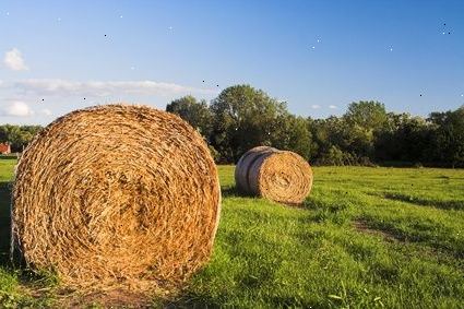 Hoe maak je een baal hooi te gebruiken om je huis te decoreren. Voor een outdoor picknick.