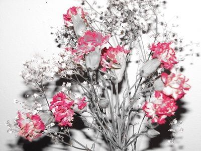 Ongekend Hoe kan ik gedroogde bloemen te bewaren – E2R TQ-68