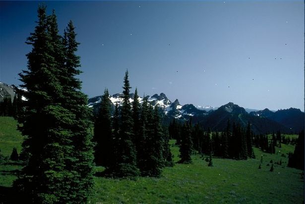 Hoe om gras te laten groeien. Bereid de bodem.