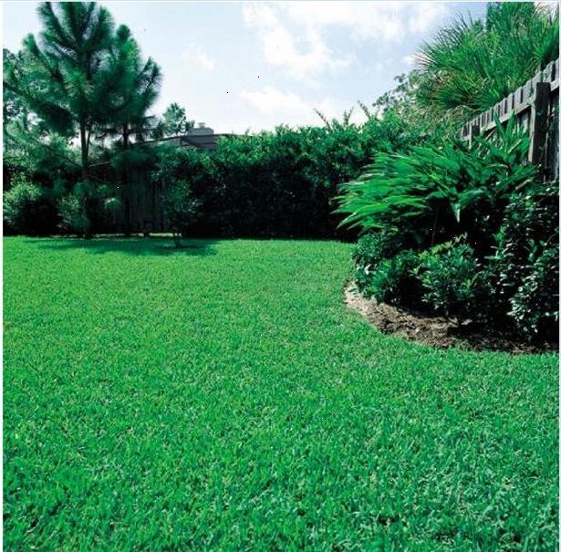 Stap 1. Begin met goede materialen.